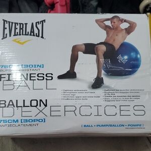 Everlast Blue Exercise Ball with Pump